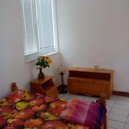 Farmstay In Guest house *